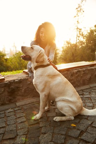 Hundeschule_Pankow Hundeschule_Pankow